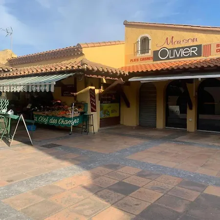 Avec Jardin Plein Sud- Clim Wifi Et Parking Apartamento Saint-Cyprien (Pyrenees-Orientales)